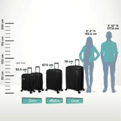 IT Luggage Spontaneous - Medium Plus (Black) 23 IT Luggage Spontaneous - Medium Plus (Black) -UK Suitcase Sales 2024 Spontaneous full set Blk Relative Size 369fbefe bd04 485d b85c b9685905a94d